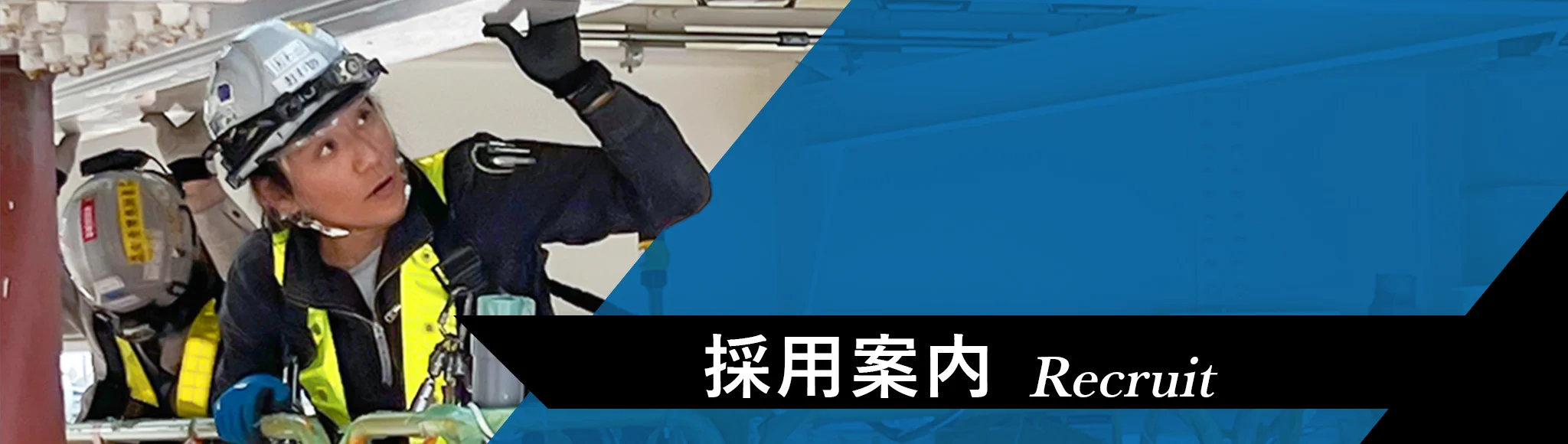 採用案内